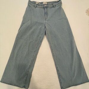 Universal Thread Light Blue Flare Jeans